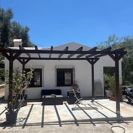 Farmhouse Surrounded By Centenary Olive Trees Olias Exterior photo