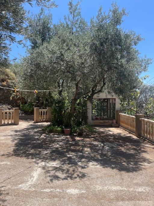 Farmhouse Surrounded By Centenary Olive Trees Olias Exterior photo